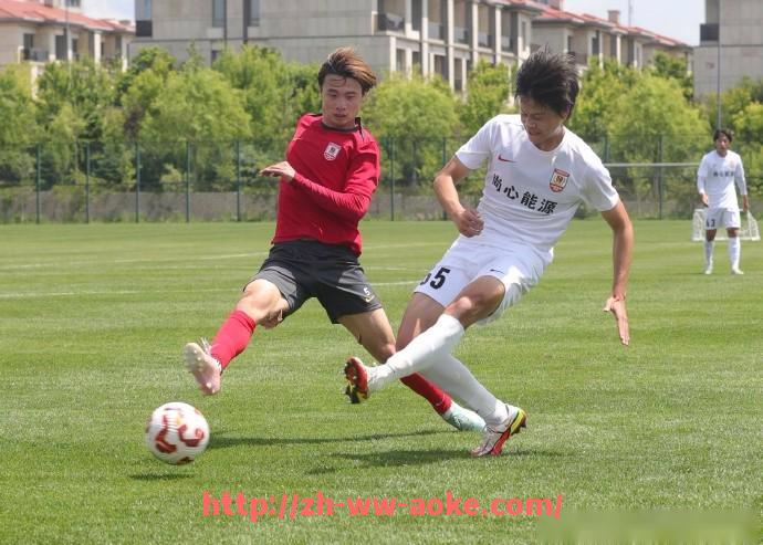 澳客足彩-德甲2014年升级球队名单回顾,当年升班马如今发展如何?