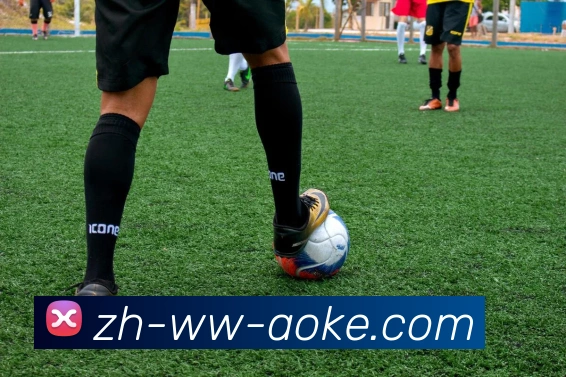 澳客足彩平台生态图