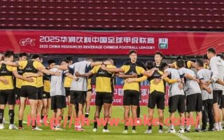 澳客足彩-德甲历史冠军球队的整体排名与演变趋势