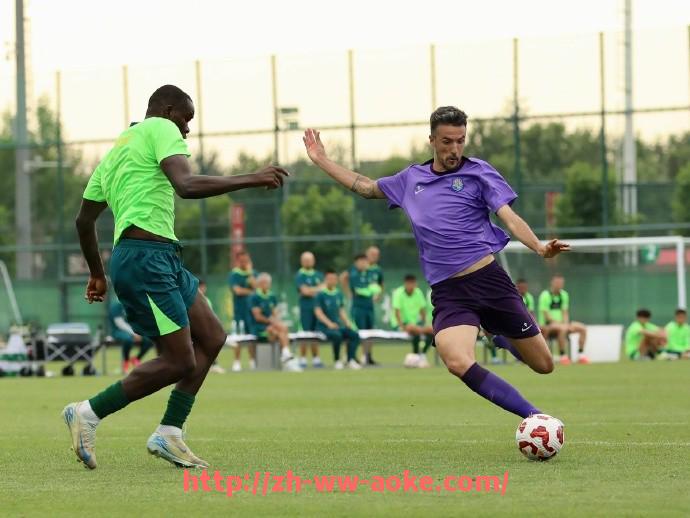 澳客足彩-韩国地区NBA火箭队直播平台与收视状况分析